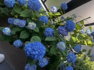 image0_4.jpeg